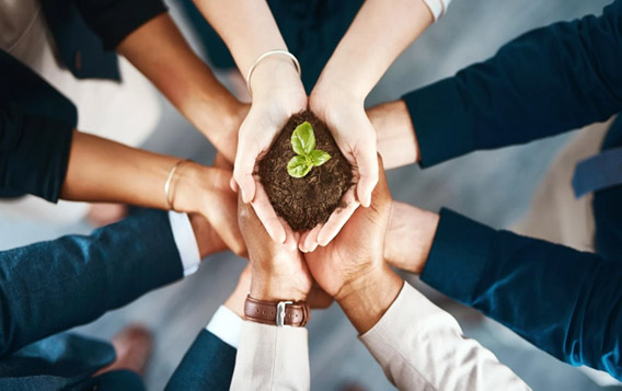 Suzhou ORDER Cleanroom Materials Co., Ltd.